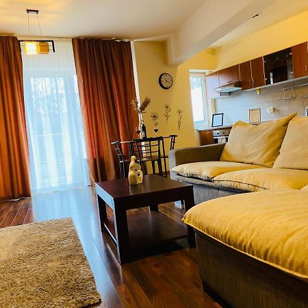 Eclipse Apartment Free Parking Cluj-Napoca Eksteriør bilde