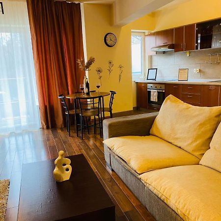 Eclipse Apartment Free Parking Cluj-Napoca Eksteriør bilde