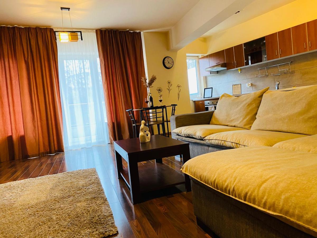 Eclipse Apartment Free Parking Cluj-Napoca Eksteriør bilde