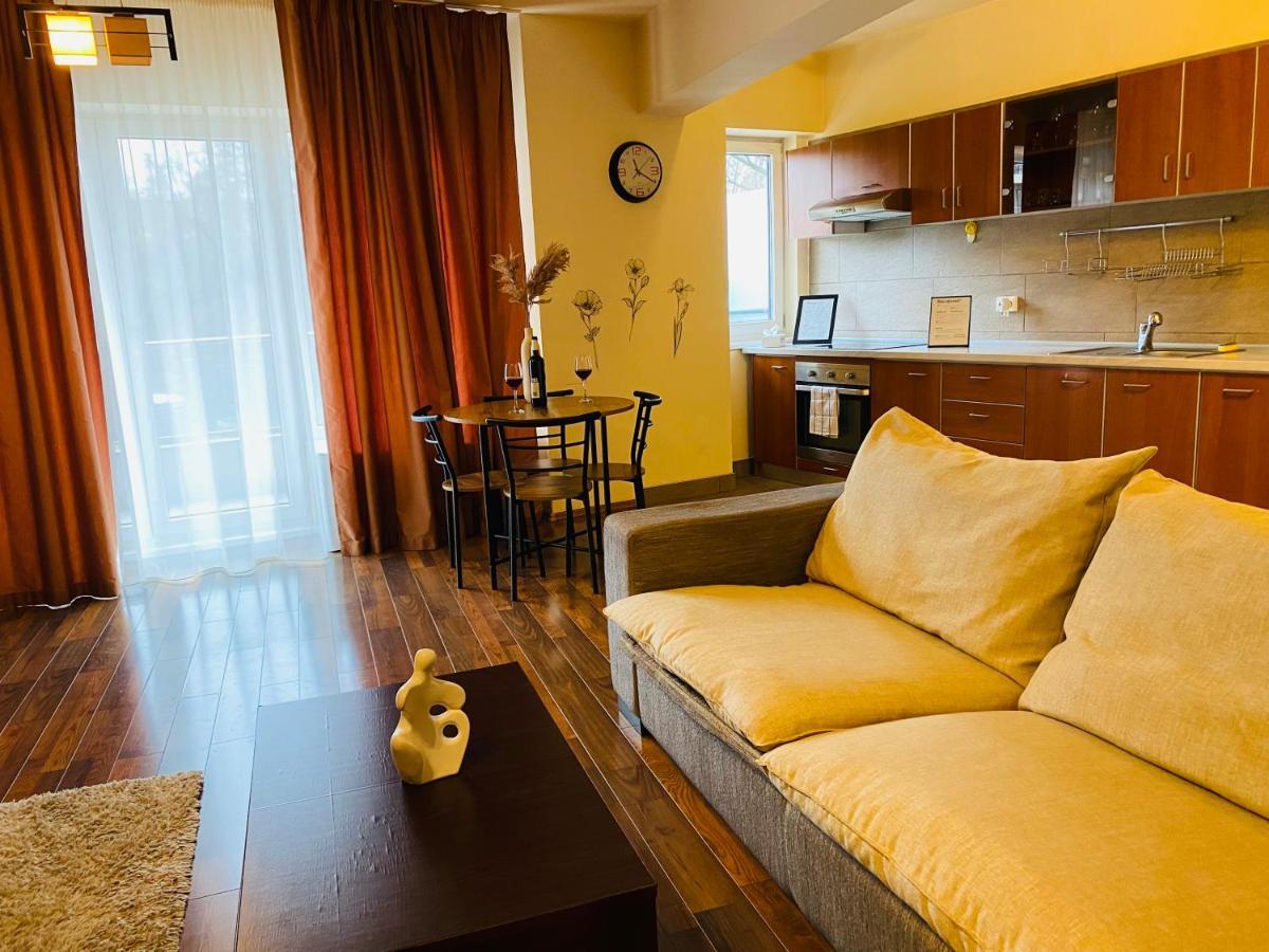 Eclipse Apartment Free Parking Cluj-Napoca Eksteriør bilde